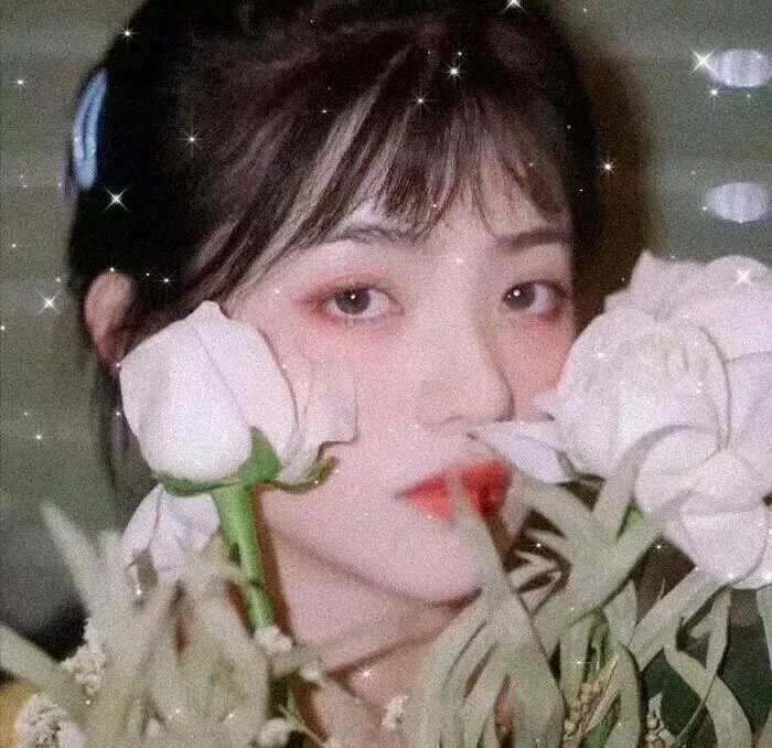 恋爱局中局